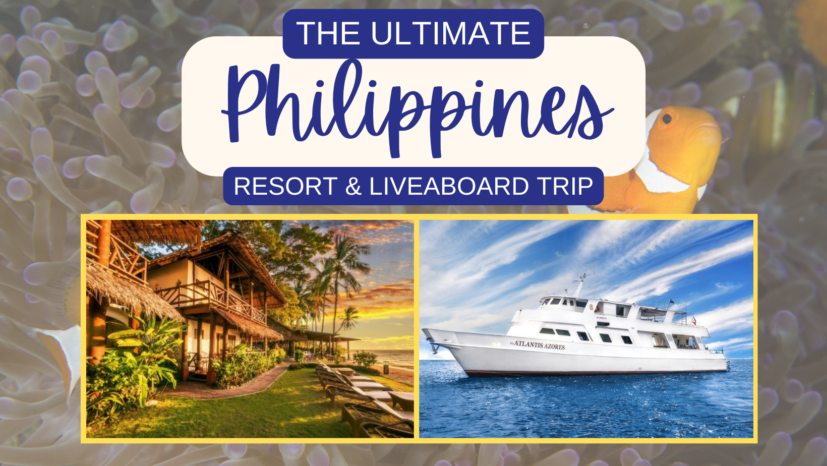 Join Us For A Dive Into Paradise: Exploring The Aquatic Wonders Of The Philippines!