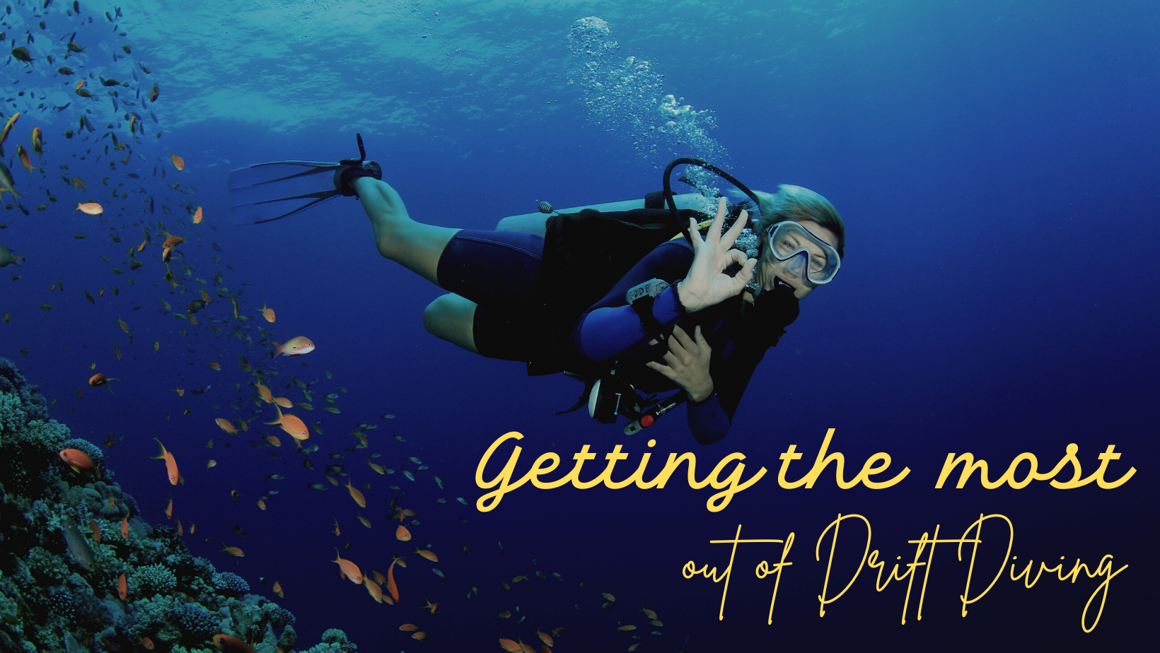 Unleash Your Inner Adventurer: 5 Tips For Epic Drift Diving